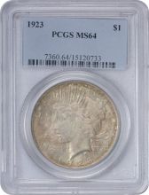 1923-P Peace Silver Dollar MS64 PCGS Cloudy Grey Toned Obverse